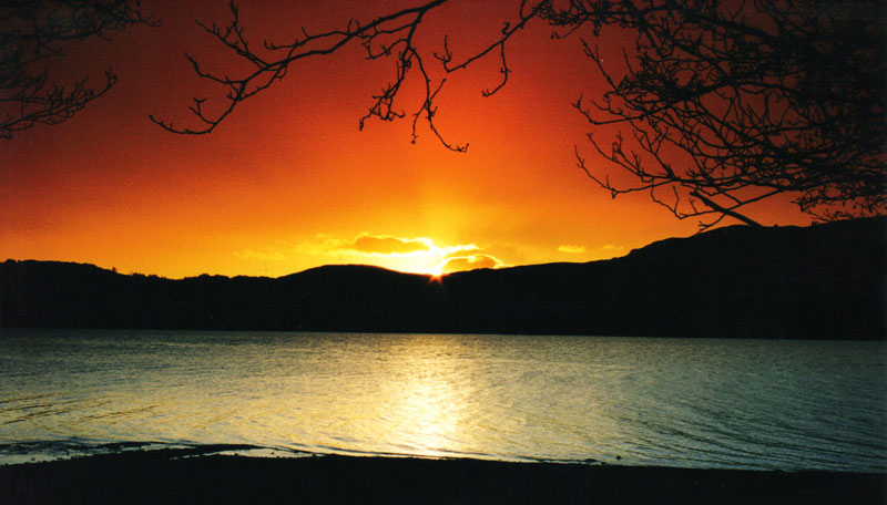 To save this picture as Windows Wallpaper - right click it - then select "Set as Background"